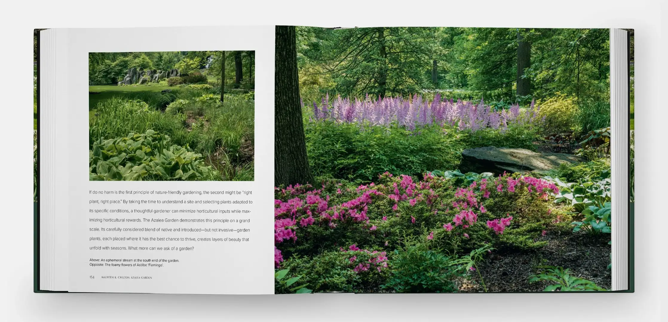 Photographing for Gardening with Nature at the NYBG (Book + Webinar)