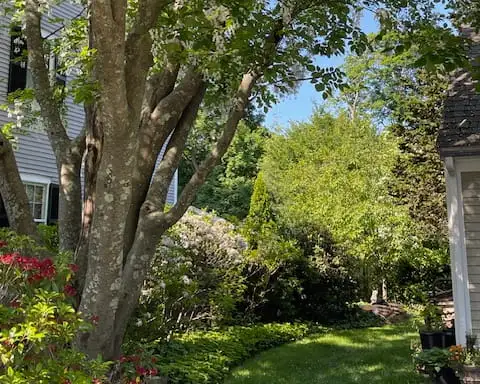 Saturday, June 13 Open Day at Village Sanctuary