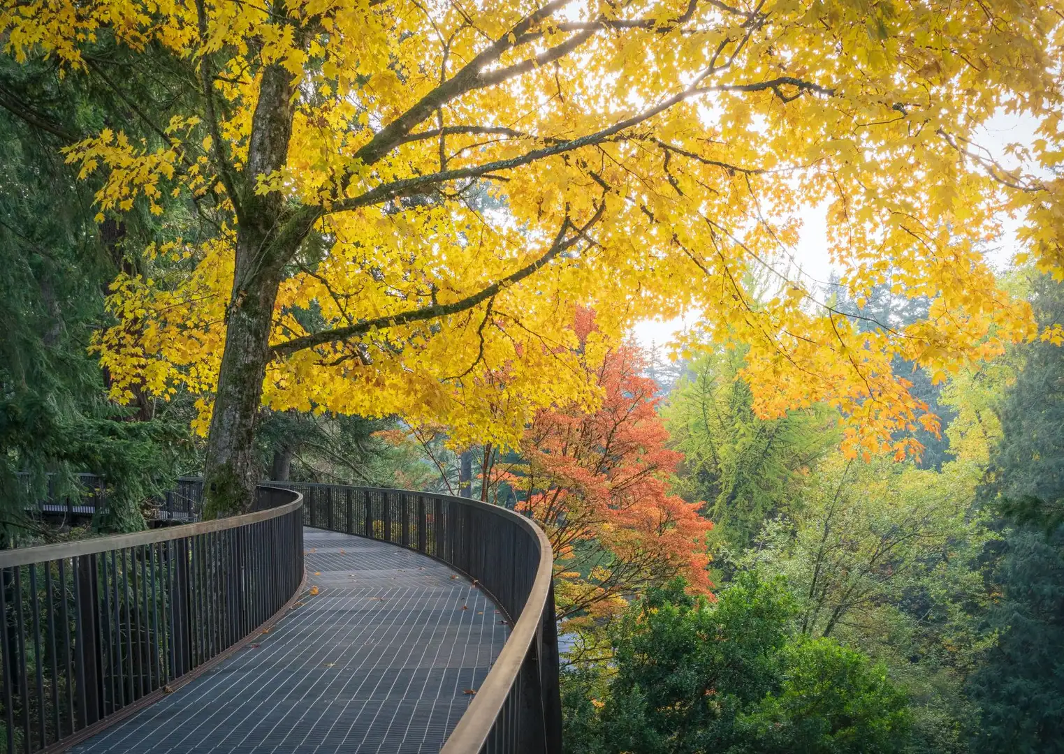 GCNN Fall Workshop at Leach Botanical Garden