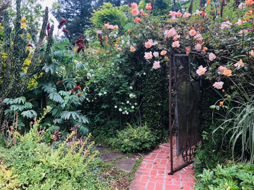 Saturday, May 9 Open Day at El Jardin De las Ranas