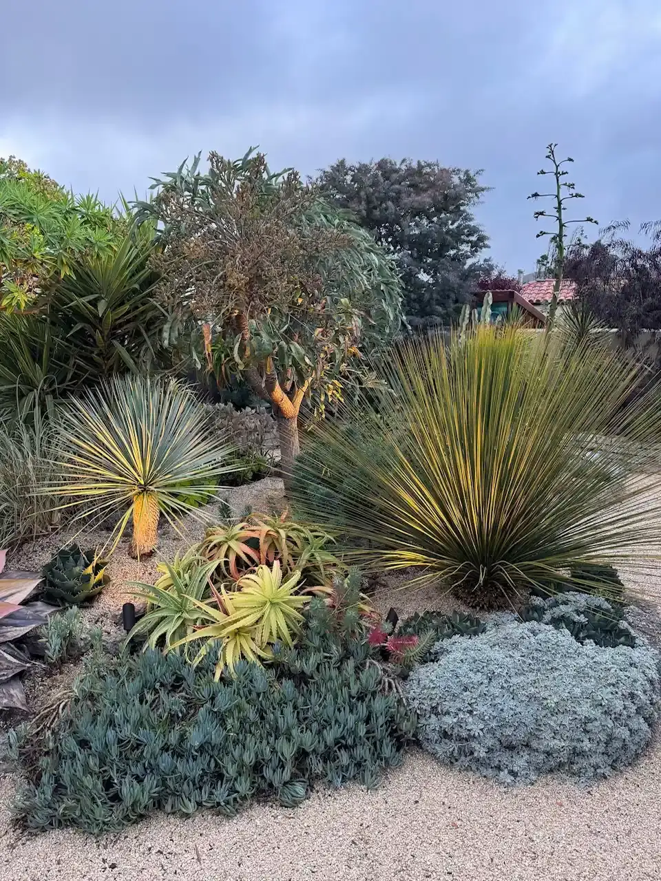 Saturday, June 6  Digging Deeper: Sustainable Gardening: How To Get Started