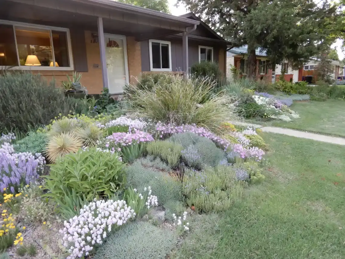 Saturday, June 13 Open Day at Virginia Vale Garden