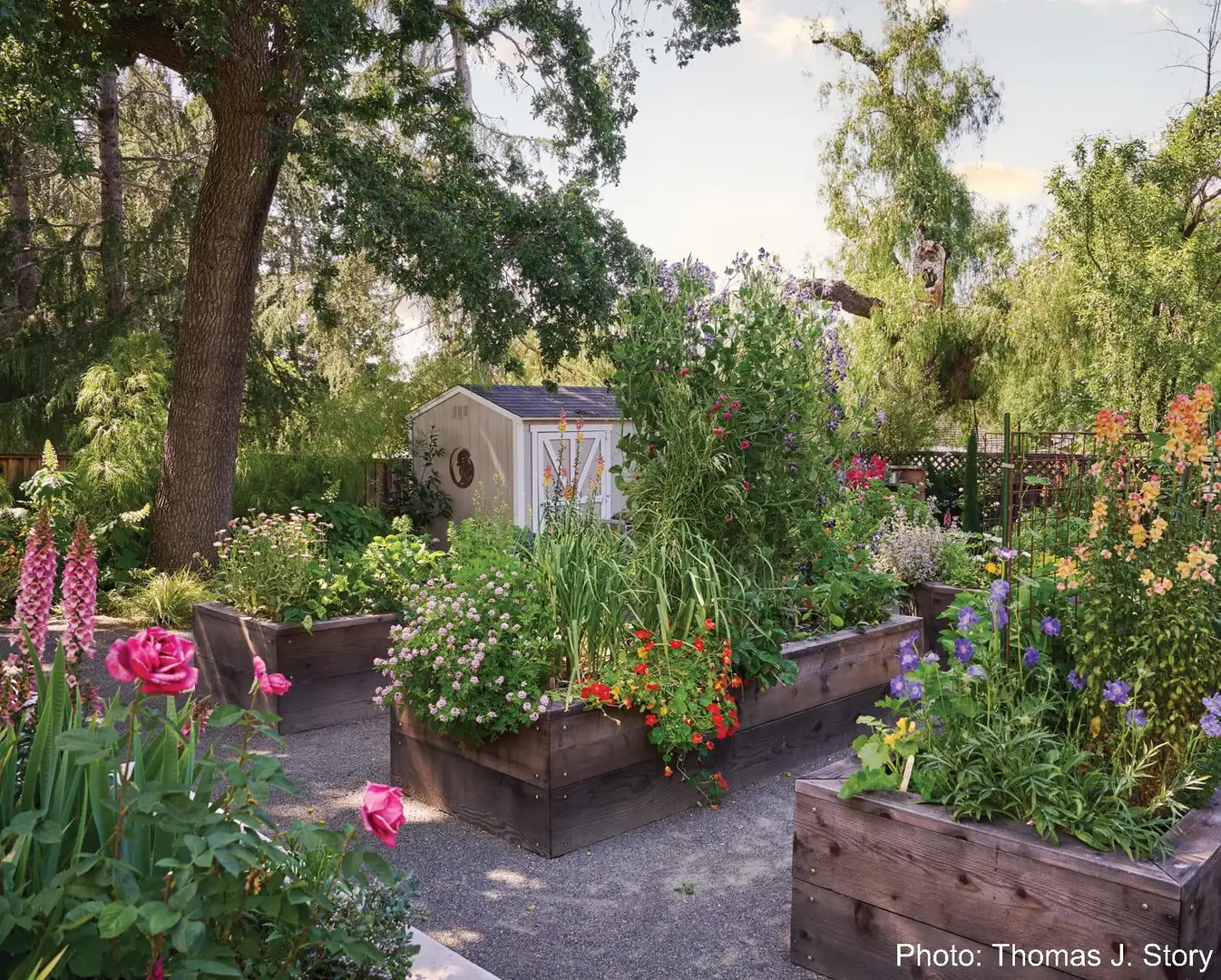 Saturday, April 18 Open Day at The Giving Garden