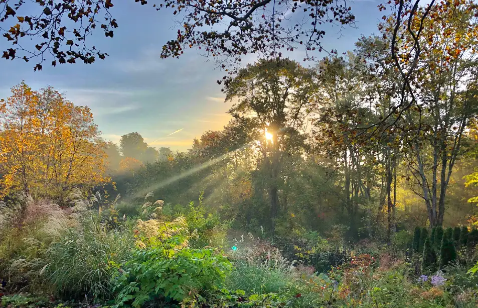 Saturday, June 20 Open Day at The Garden at Federal Twist