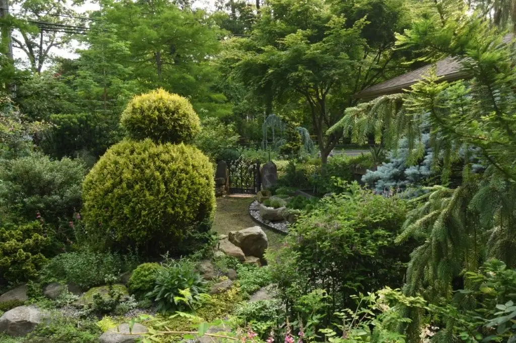 Saturday, June 27 Open Day at Merely Summer Cottage