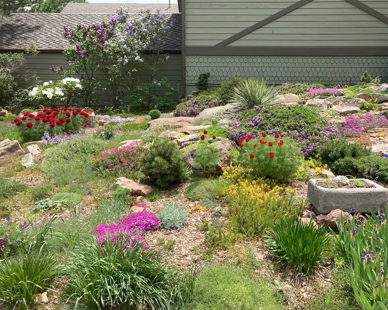 Saturday, June 20 Open Day at South Boulder Rock Garden, Session 1: 10am–1pm