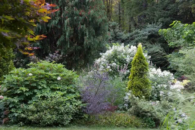 Saturday, July 25 Open Day at Hudson Garden
