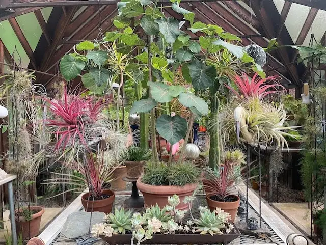 Garden of Lee Link
